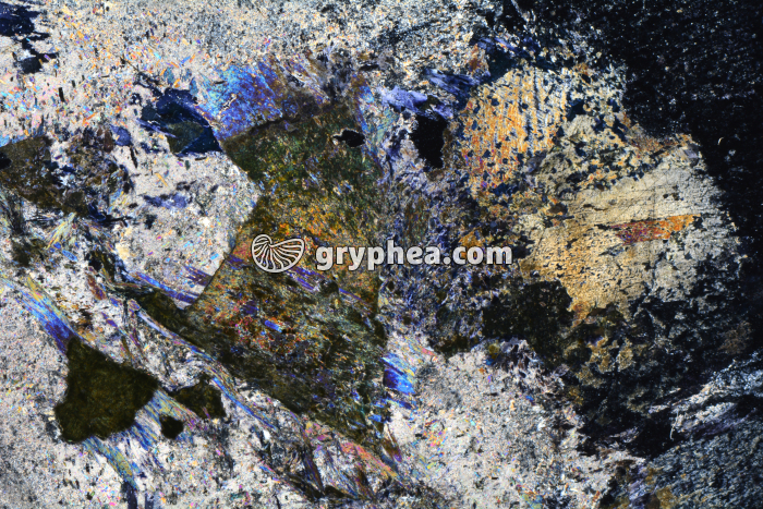 Métagabbro à glaucophane LPA x3,5 - gryphea.com